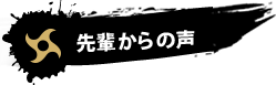 先輩からの声